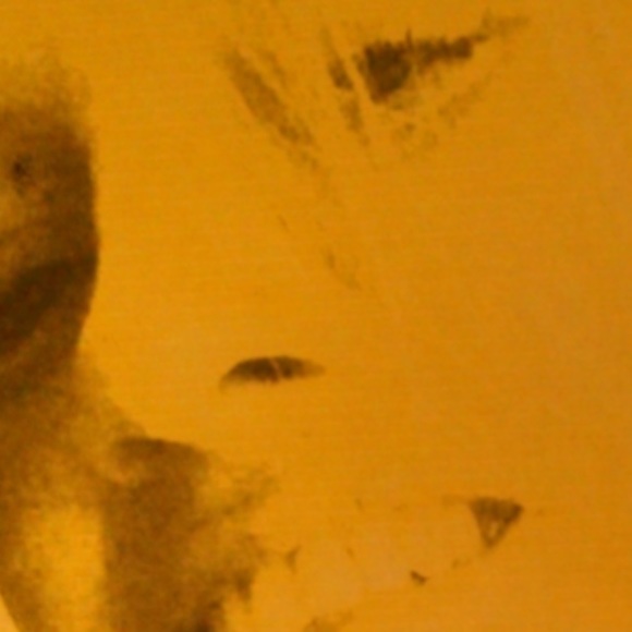 🧡POSH AMBASSADOR🧡 - Picture 1 of 1